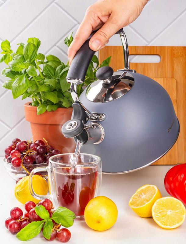 Чайник Ofenbach нержавіюча сталь зі свистком 2,2 л Сірий матовий (NB-100324) - фото 3 Чайник Ofenbach нержавіюча сталь зі свистком 2,2 л Сірий матовий (NB-100324) - фото 3