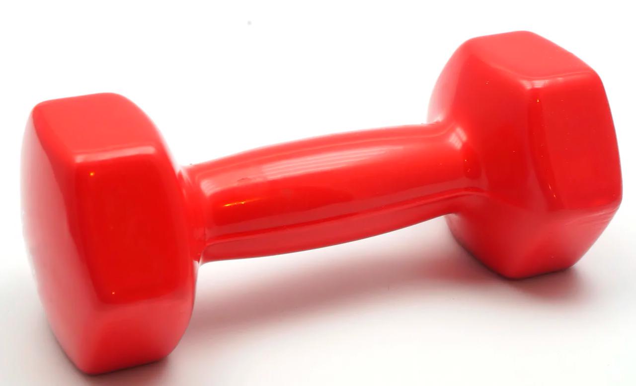 Гантель виниловая цельная OSPORT Profi 1 кг Красный (FI-0105-2) - фото 2 Гантель виниловая цельная OSPORT Profi 1 кг Красный (FI-0105-2) - фото 2