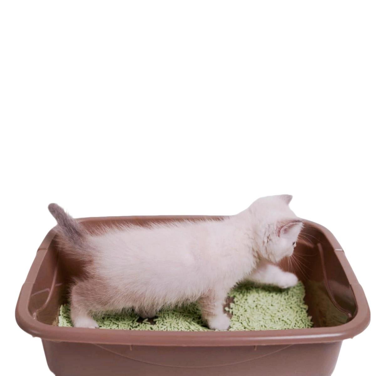 Наповнювач соєвий для котячого туалету Ultrakat Tofu з ароматом винограду 3 мм 6 л 2,5 кг - фото 7 Наповнювач соєвий для котячого туалету Ultrakat Tofu з ароматом винограду 3 мм 6 л 2,5 кг - фото 7