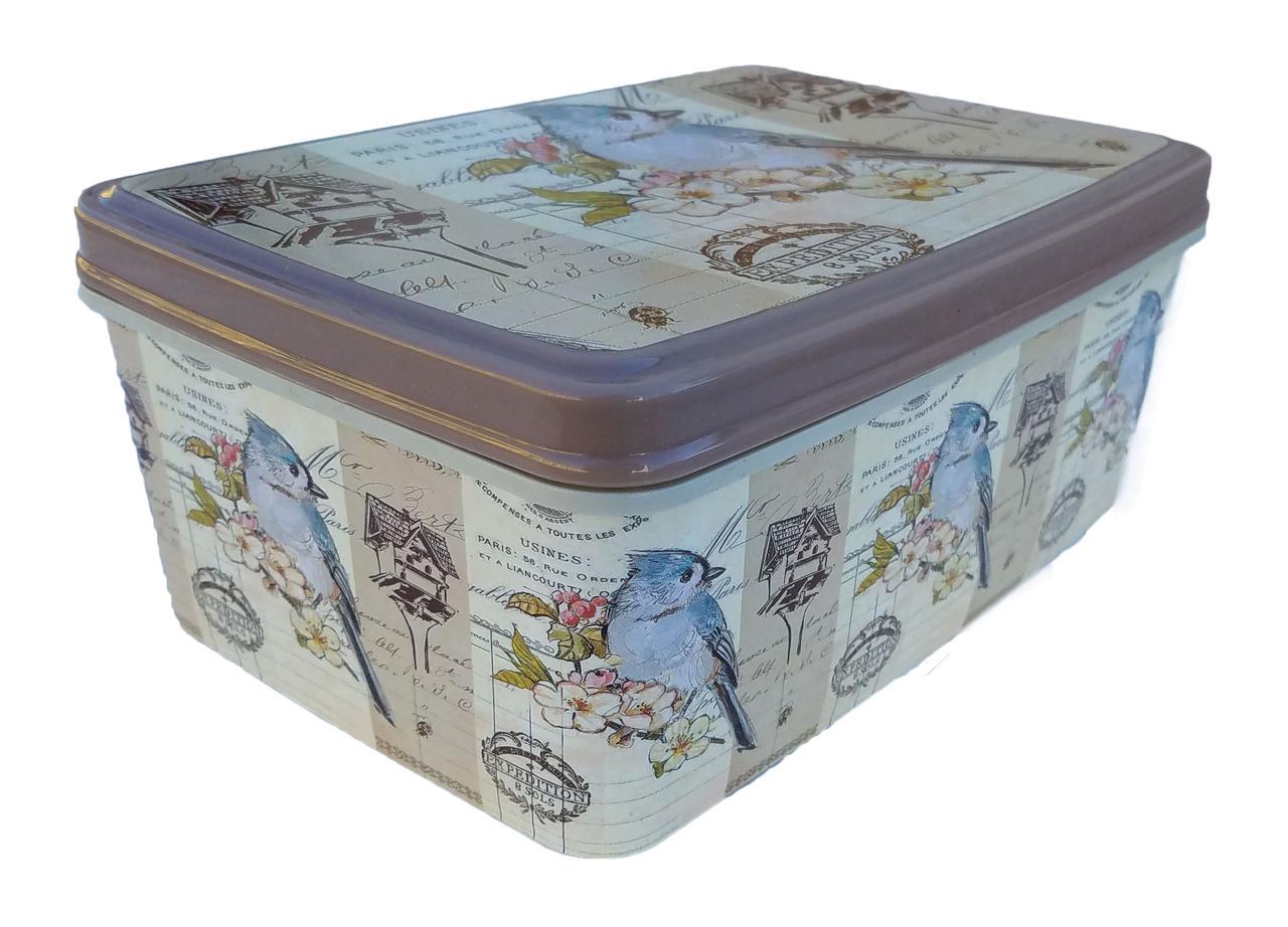 Пластиковий прямокутний контейнер з кришкою 3,5 л 18x25x10 см Папуги (472850-Prob)