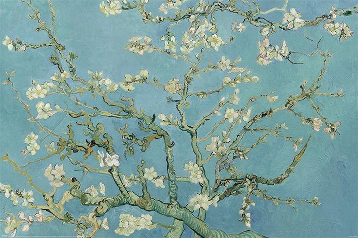 Постер плакат Ван Гог Цветущие Ветки Миндаля/Van Gogh Almond Blossom San Ramy 1890 61x91,5 см