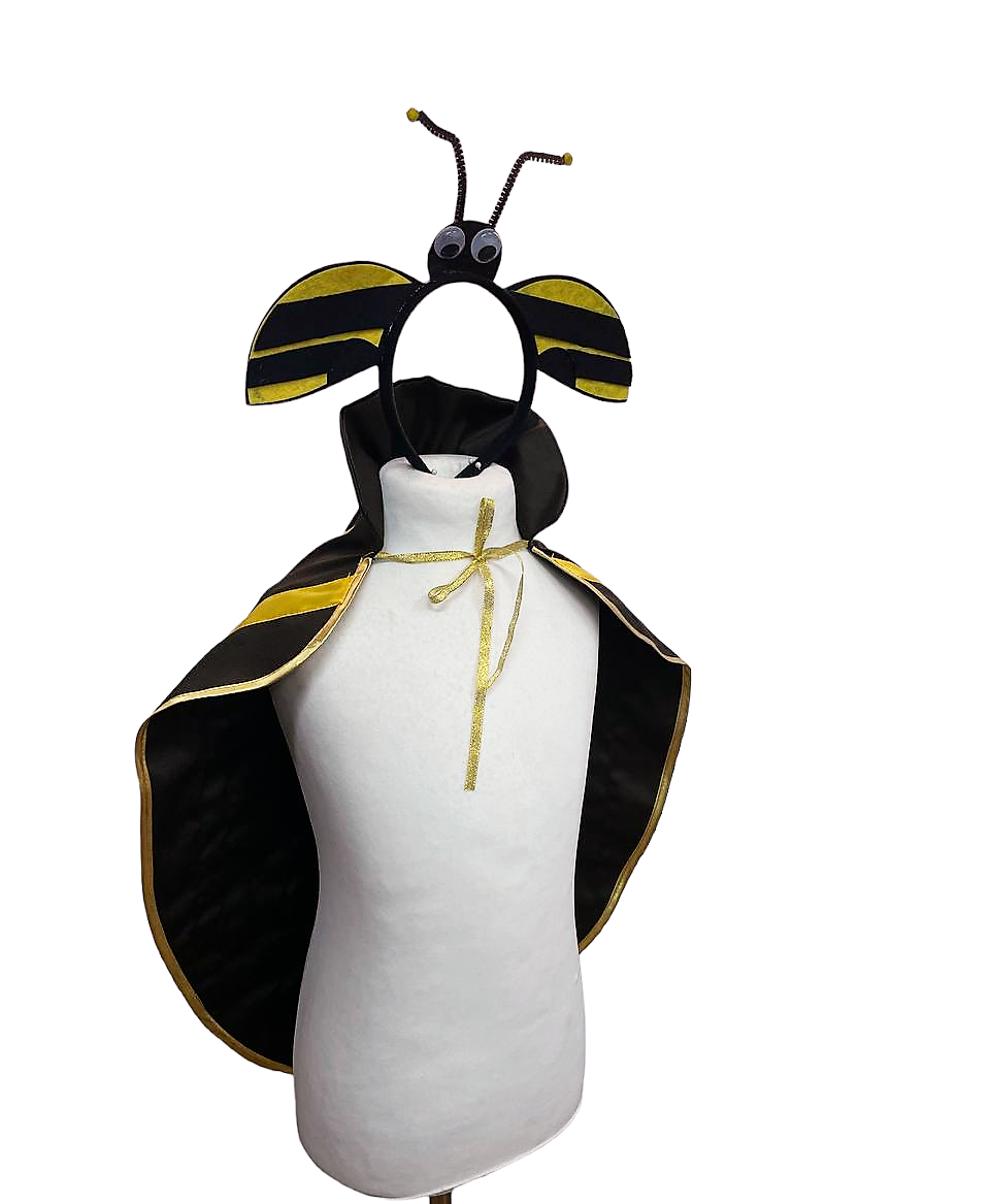 Комплект карнавальний Жук Колорадський