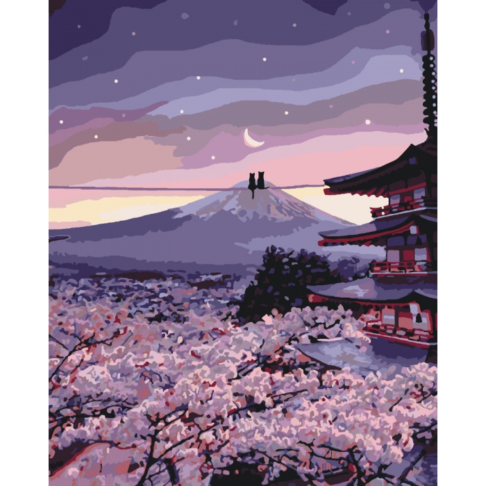 Картина по номерам Идейка Волшебная пара КНО3527 40х50 см