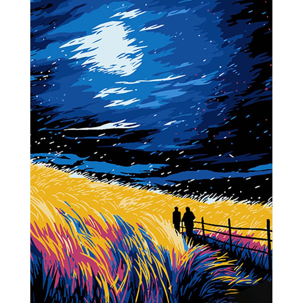 Картина по номерам Strateg Премиум Звездная ночь на черном фоне 40x50 см (Str-AH1067)