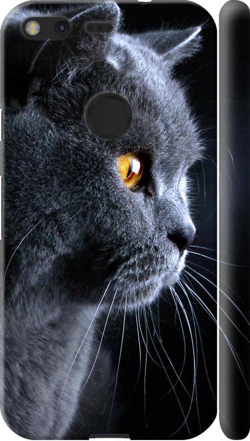 Чехол на Google Pixel Красивый кот (3038m-400-42517)