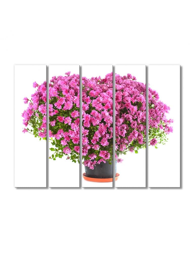 Картина модульная  Сердце из розовых хризантем 5 модулей 120x180 см