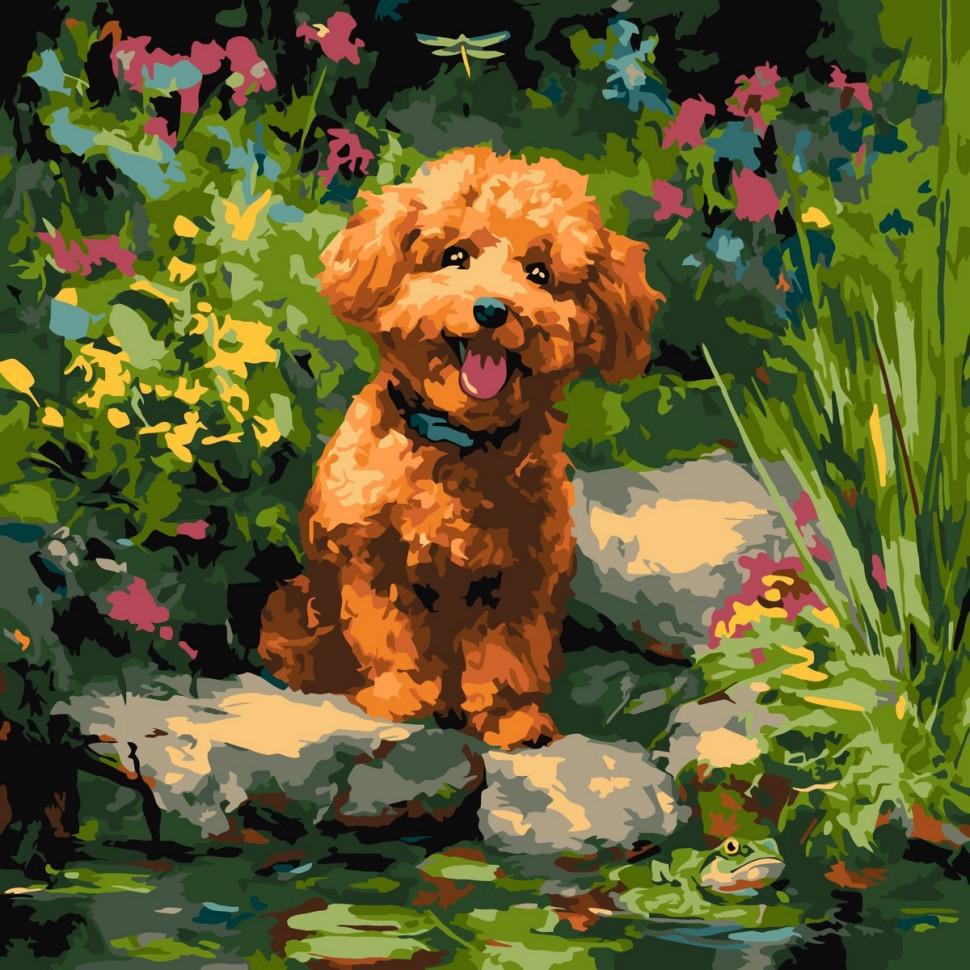 Картина за номерами Ideyka Пудель на ставку KHO6799 40х40 см (RLT55966)