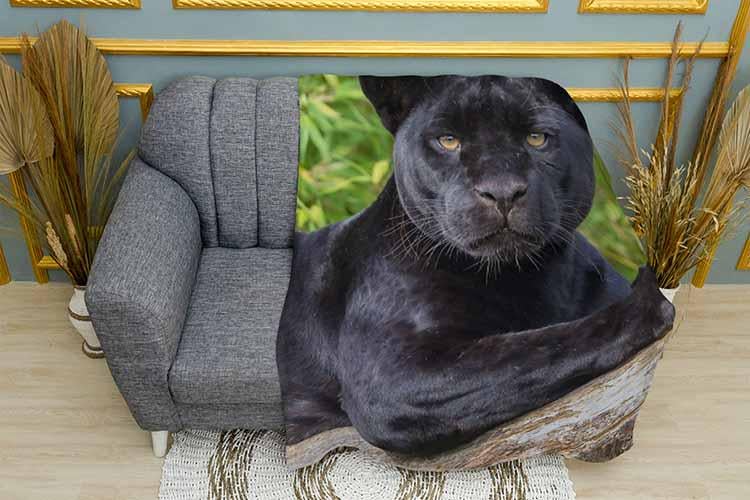 Плед Black cougar плюш двухслойный 150х210 см (113478-3)