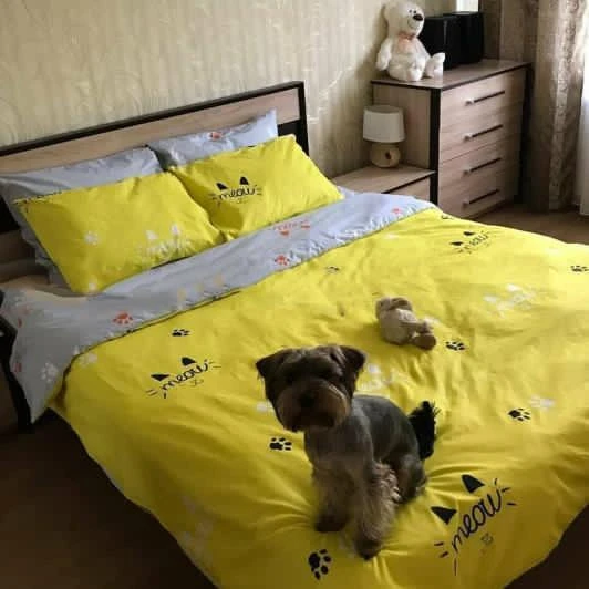 Комплект постільної білизни з компаньйоном TAG Tekstil R4154 сімейний (1250) - фото 5 Комплект постільної білизни з компаньйоном TAG Tekstil R4154 сімейний (1250) - фото 5