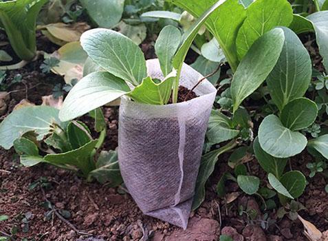 Пеленки для рассады 8х10 см 100 шт. (2178) - фото 3 Пеленки для рассады 8х10 см 100 шт. (2178) - фото 3