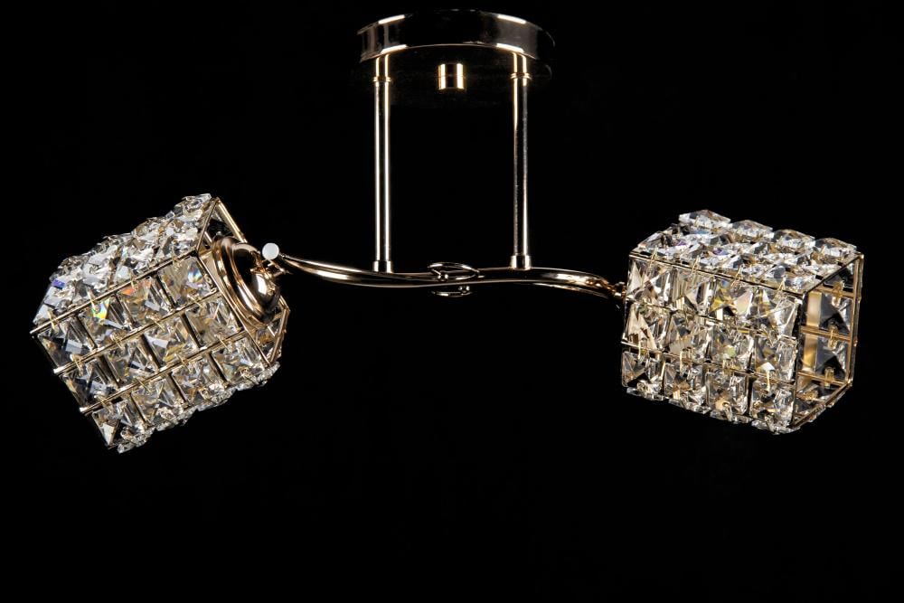 Люстра с плафонами Ray L50530/2 FGD (IR005968)