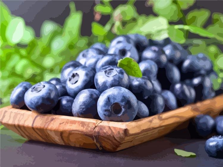 Картина по номерам Сочная голубика 40х50 см (12006-AC)