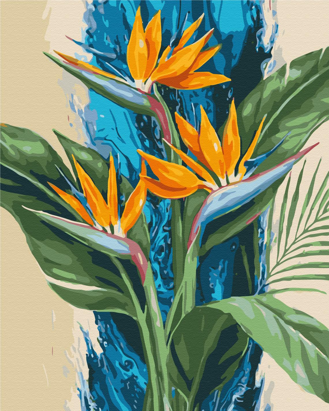 Картина за номерами Brushme Тропічні стрілиції 40x50 см (BS54556) Картина за номерами Brushme Тропічні стрілиції 40x50 см (BS54556)