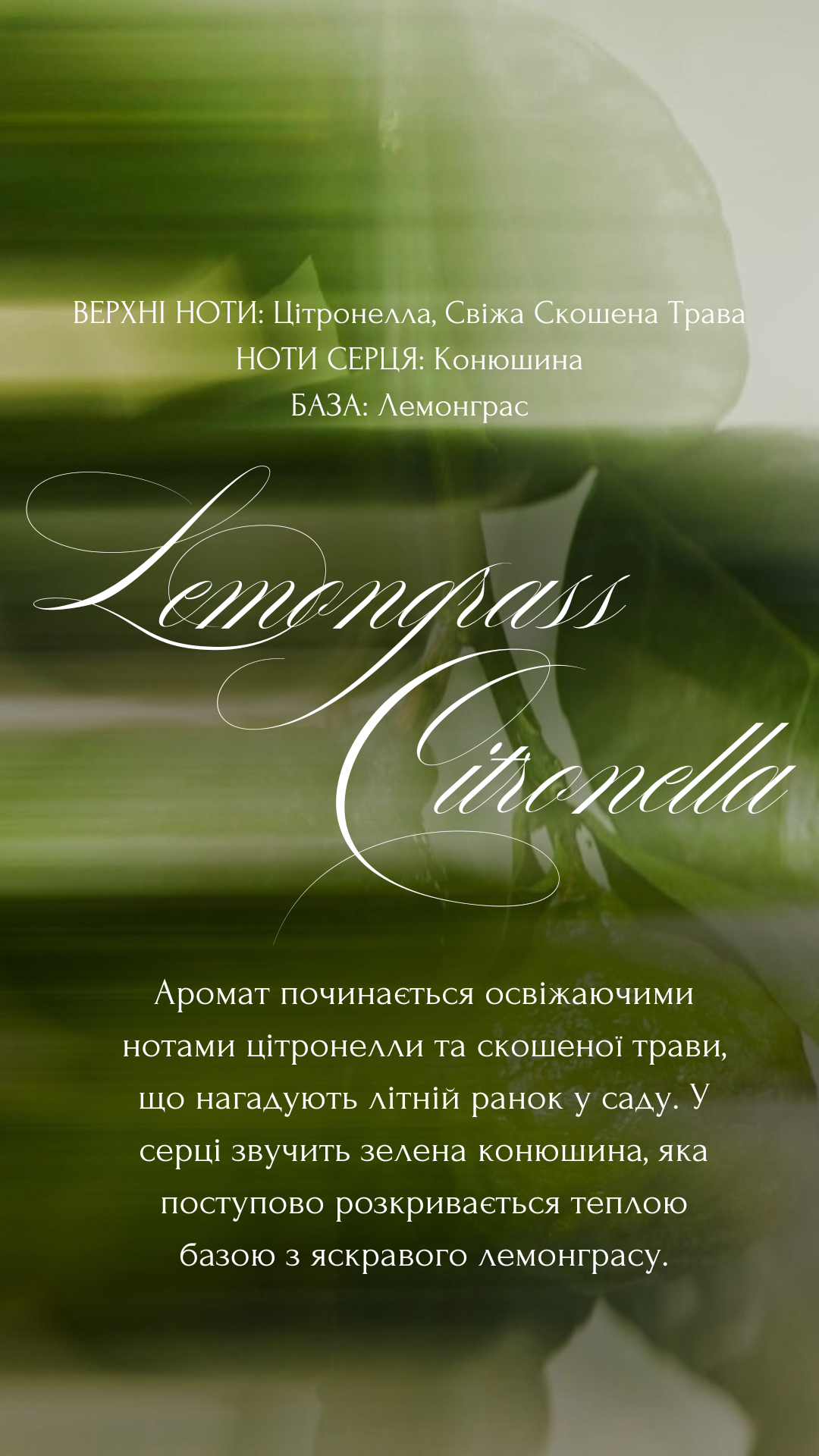 Аромадиффузор M из натурального камня лабрадорит 6+ месяцев Lemongrass Citronella - фото 3