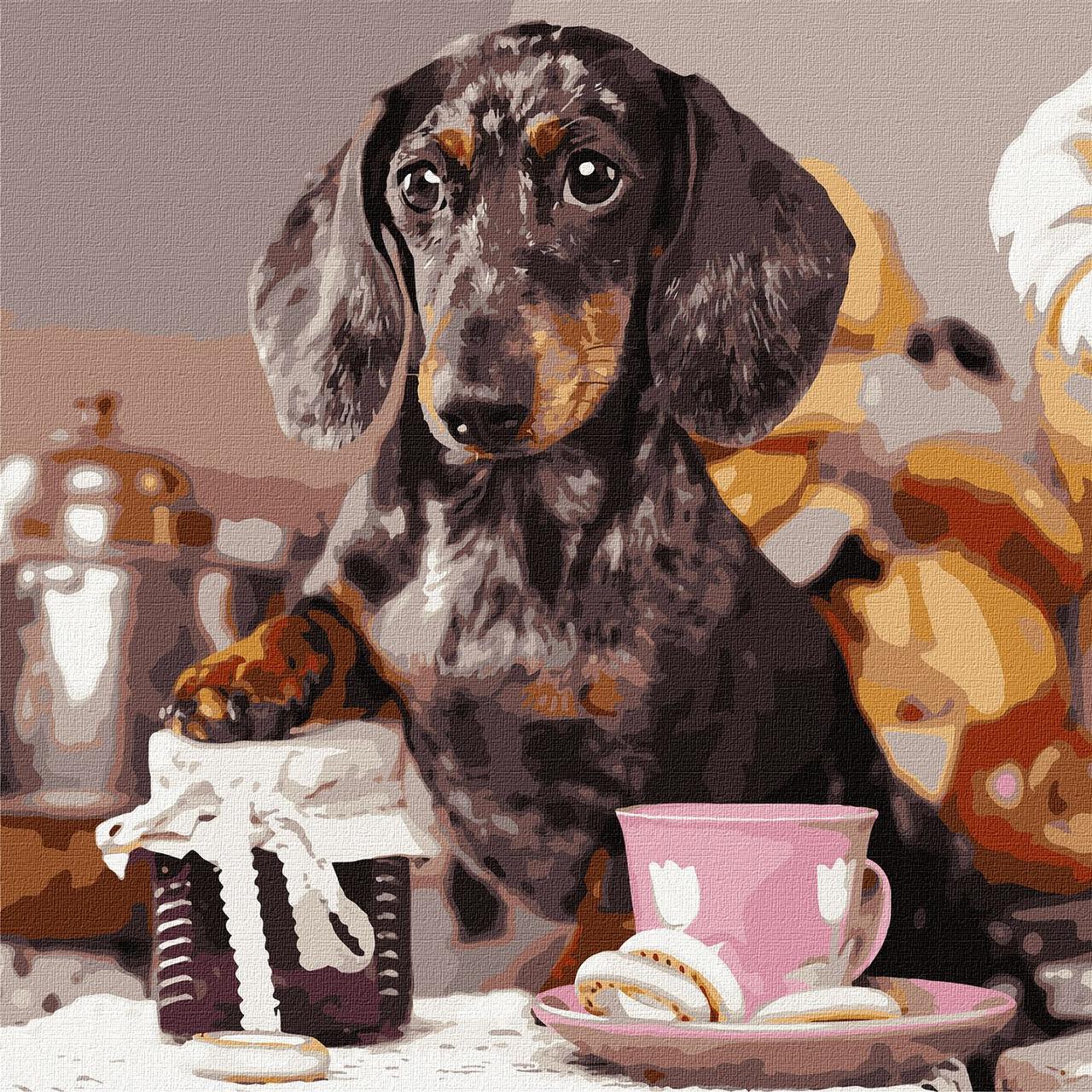 Картина по номерам Идейка Пушистый повар KHO4273 холст на подрамнике 40x40 см (1566654884)