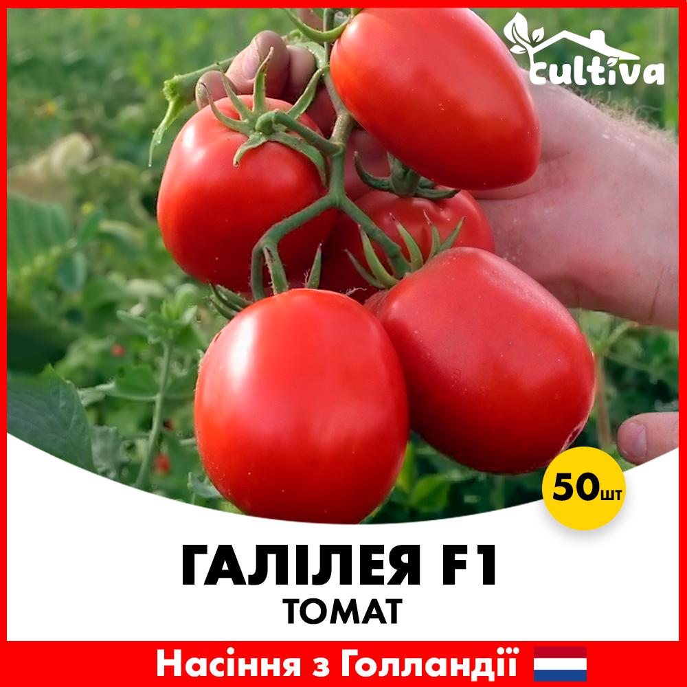Насіння томату Hazera Галілея F1 50 шт. (0020750)
