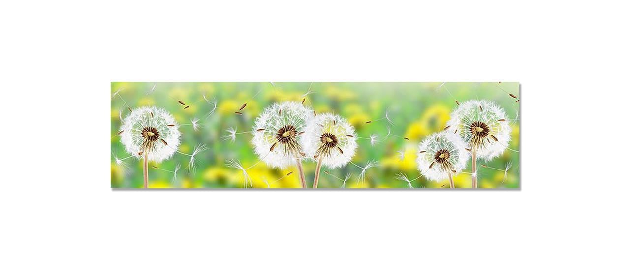 Наклейка виниловая 3D Zatarga Облетающие Одуванчики 650х2500 мм (1271806391)