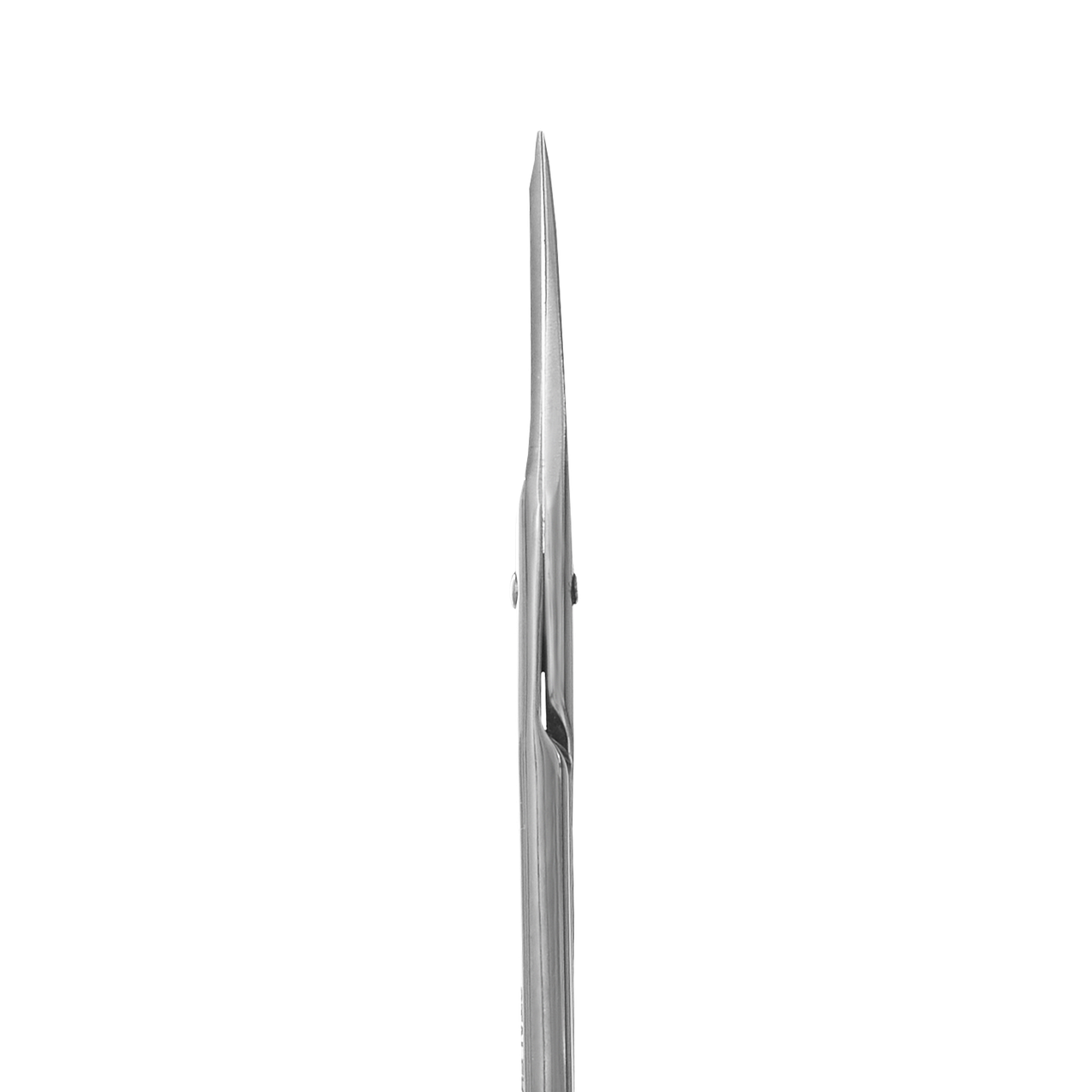 Ножницы для ногтей Staleks 24 мм (SC-31/1) - фото 2 Ножницы для ногтей Staleks 24 мм (SC-31/1) - фото 2