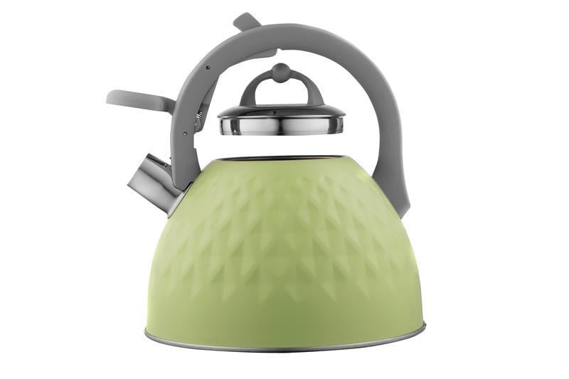 Чайник Ardesto Gemini нержавеющая сталь 2,5 л Зеленый (AR1947KG)