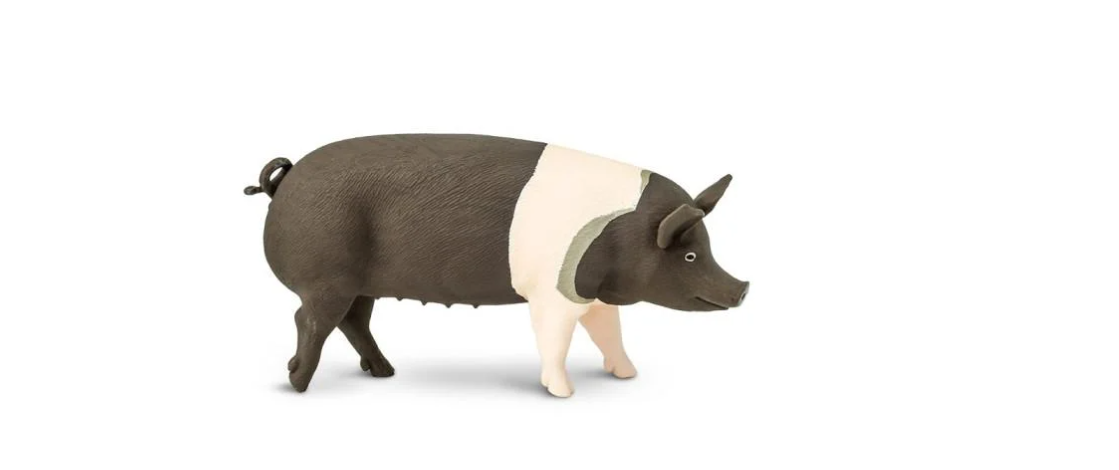 Фигурка Safari Ltd Свинья гемпширской породы (23450972)