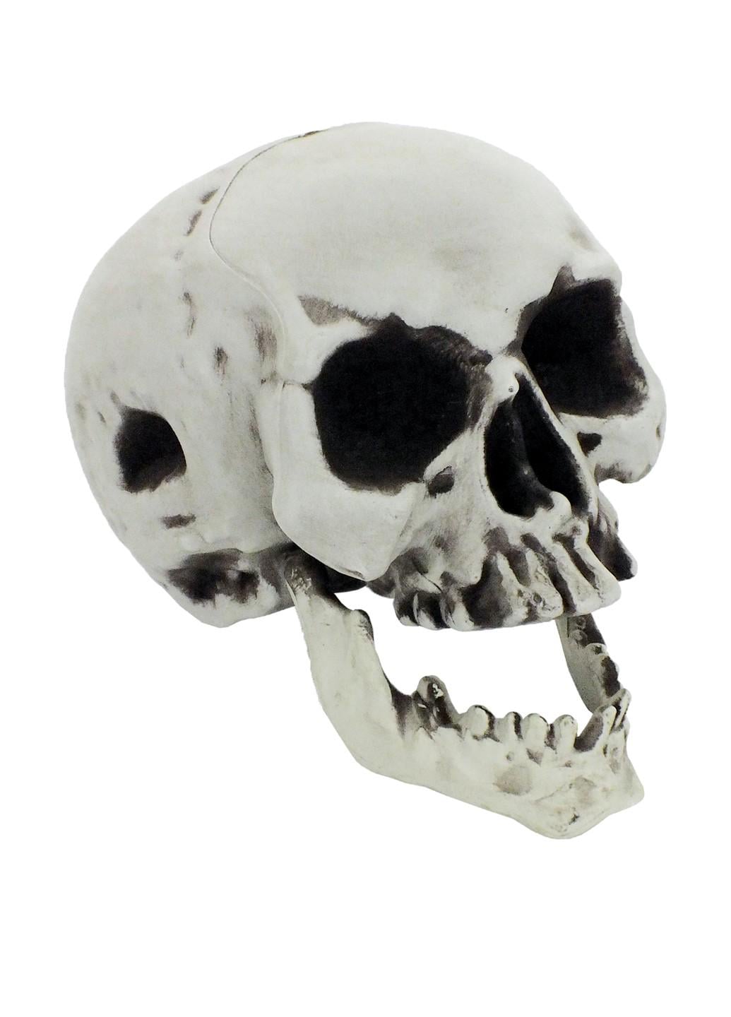 Череп Йорік з рухомою щелепою (19-147GY)