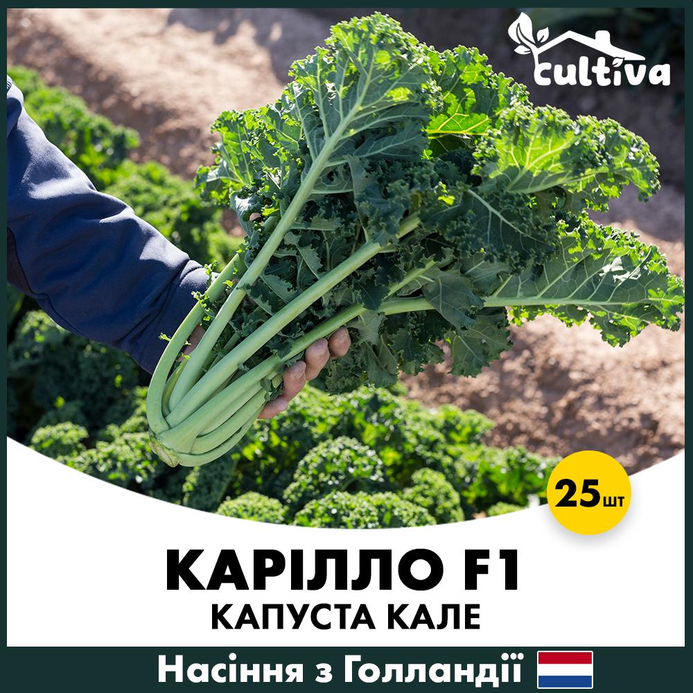 Насіння капусти Rijk Zwaan Кале Карілло F1 25 шт. (R51005)
