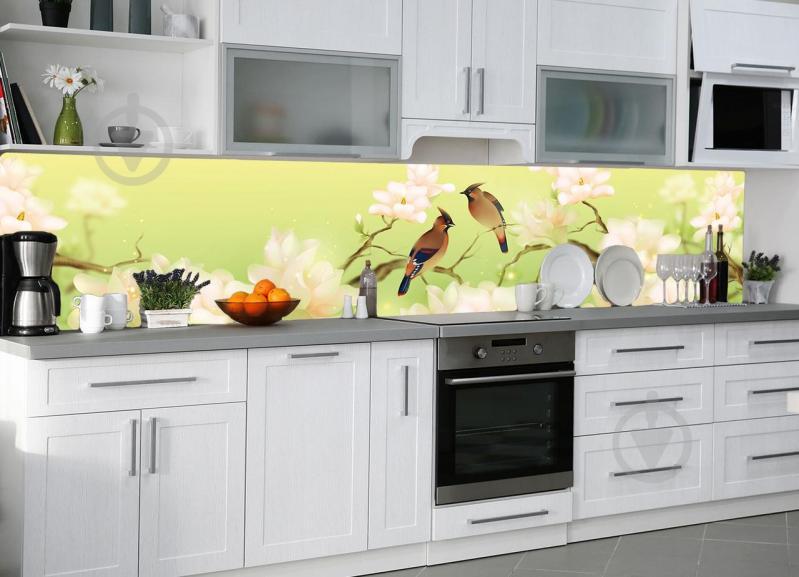 Кухонный фартук Zatarga Птицы 600х2500 мм Салатовый (Z180098/1) Кухонный фартук Zatarga Птицы 600х2500 мм Салатовый (Z180098/1)