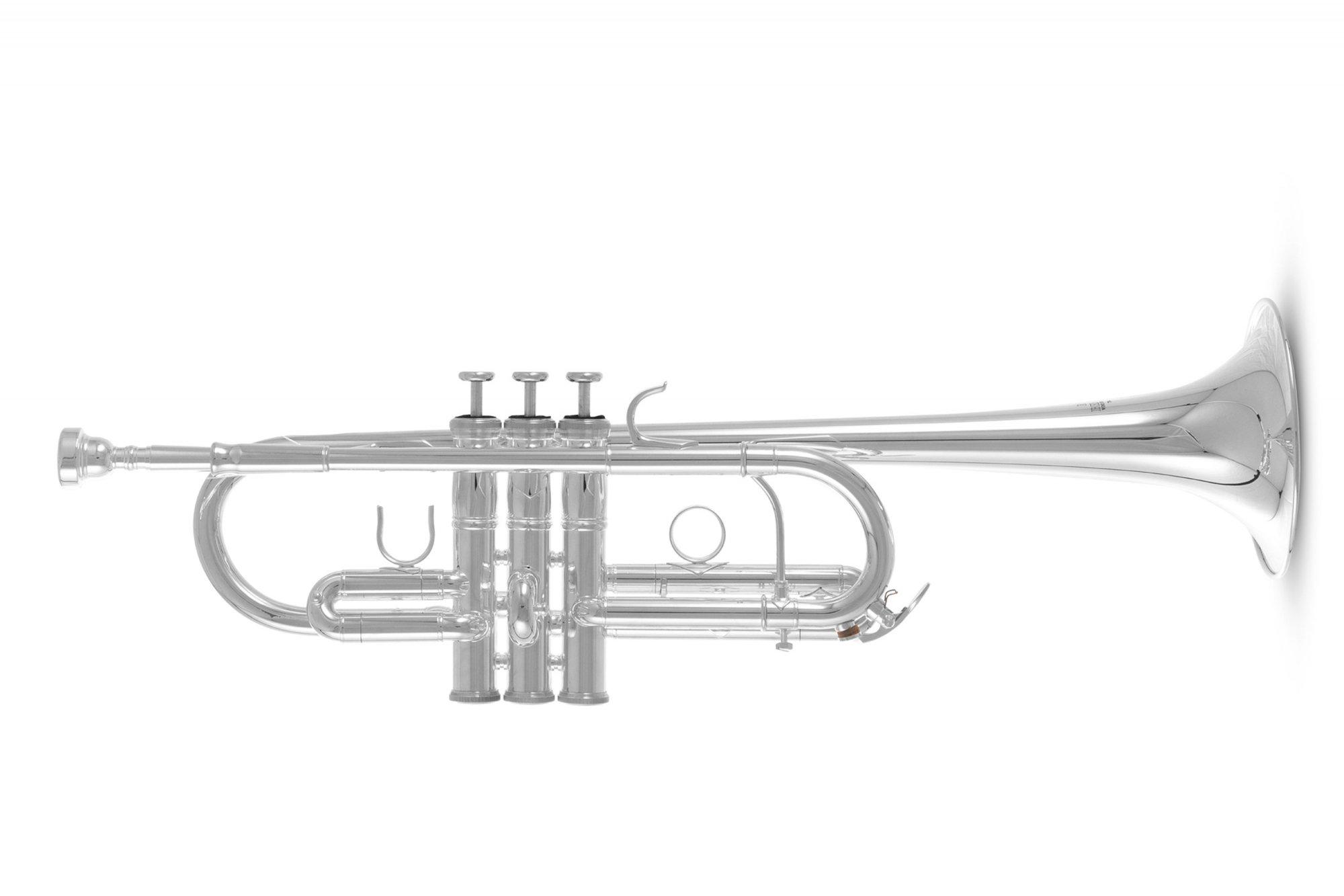 Труба Roy Benson TR-402CS C-Trumpet латунь (G-RB701089)