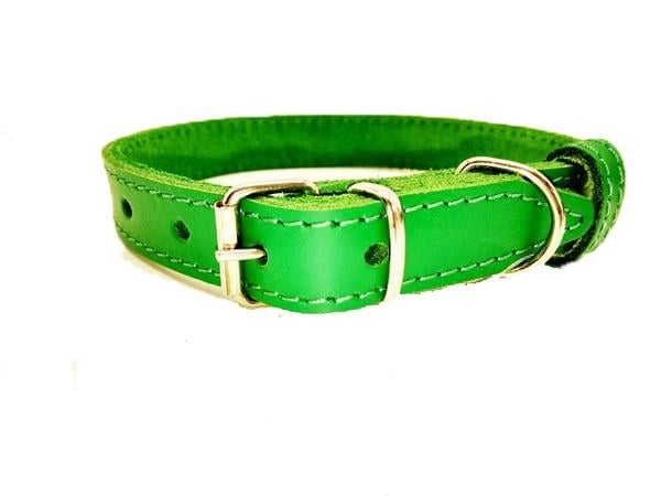 Ошейник Лорі Весна кожаный 3,0/41-51 см Зеленый