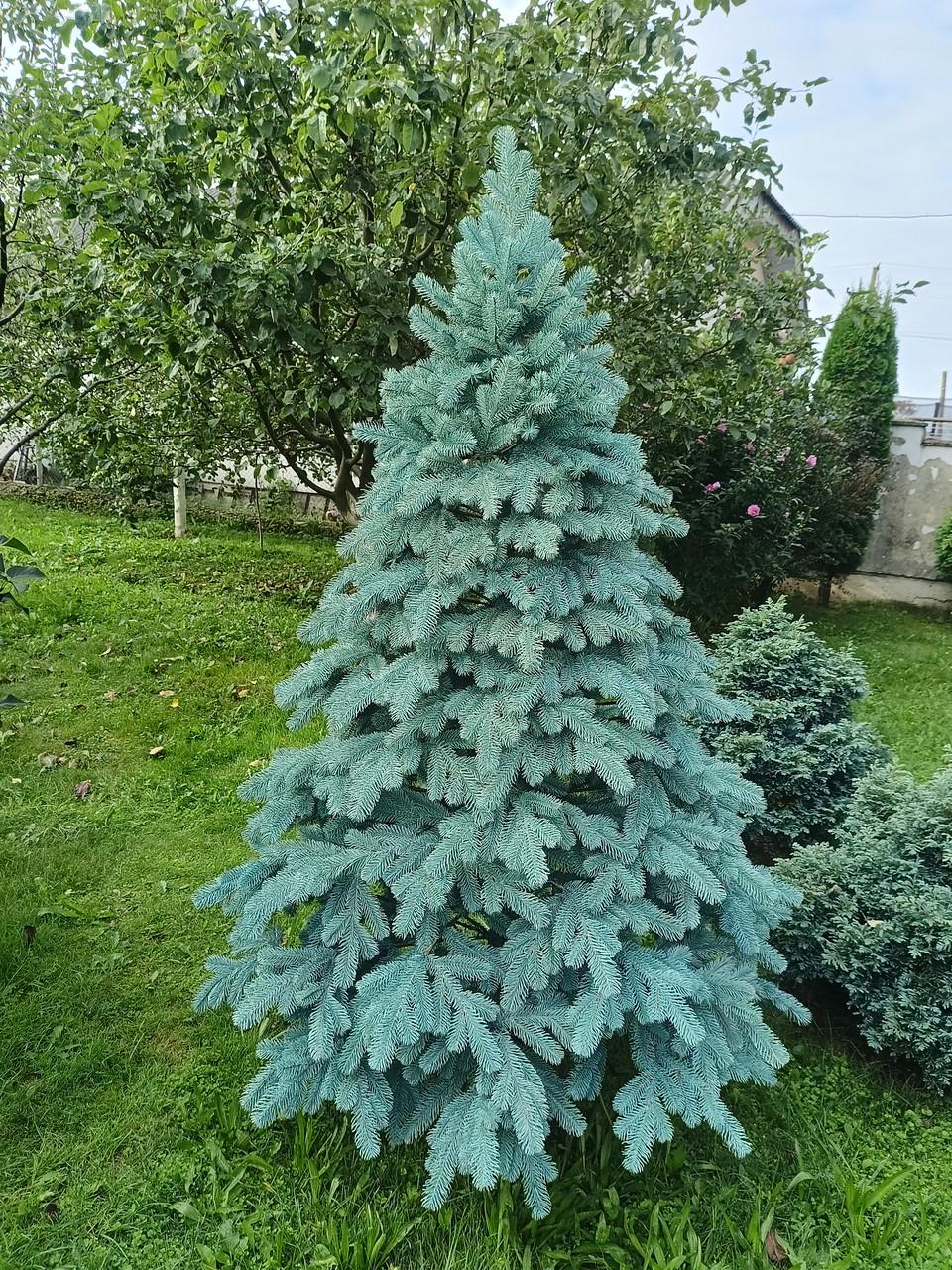 Елка искусственная литая из пластика 1,5 м Буковельская литая 8