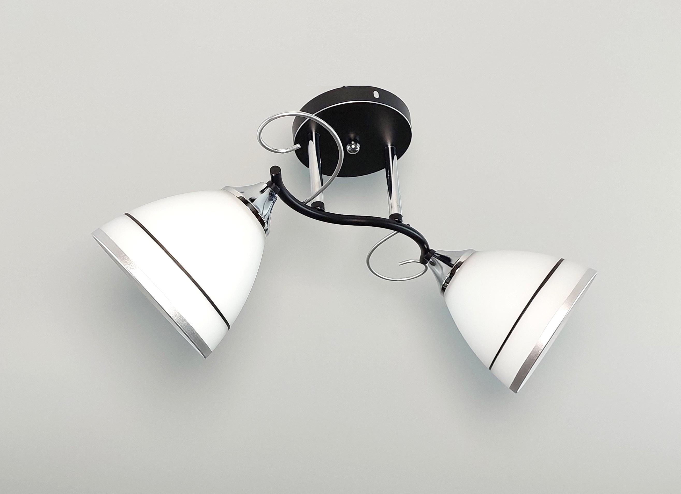 Люстра потолочная 1250/2 на 2 плафона Черный