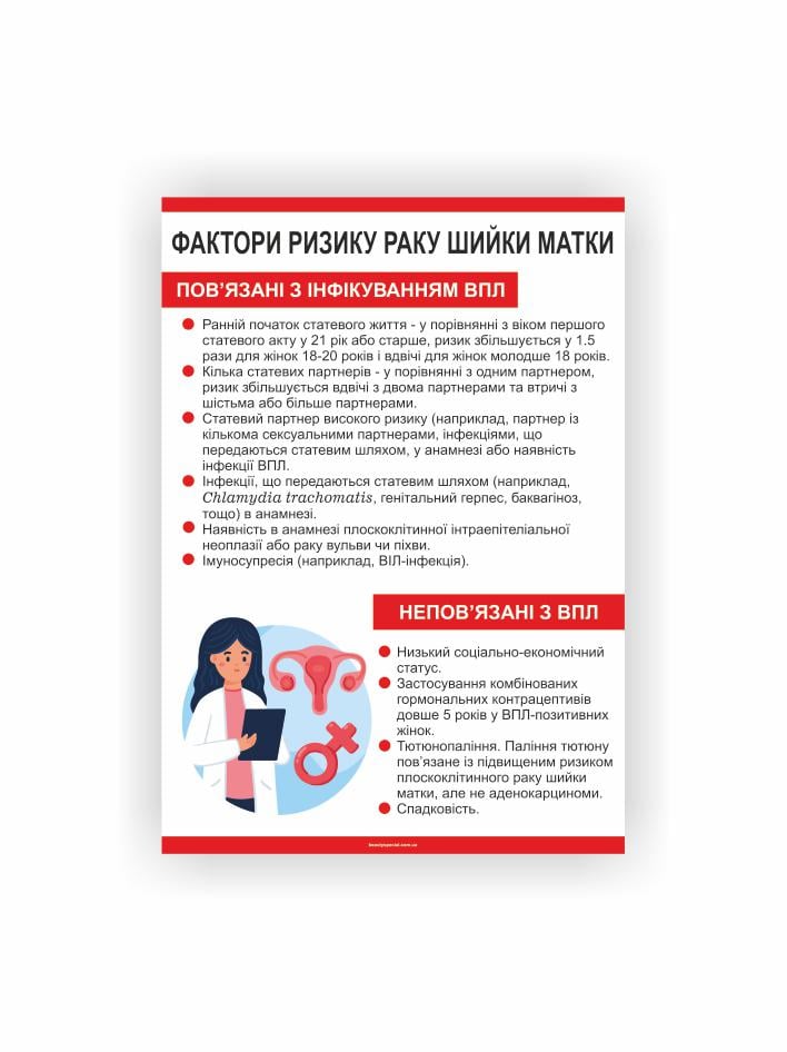 Плакат Vivay Факторы риска рака шейки матки 60x40 см (26866363)