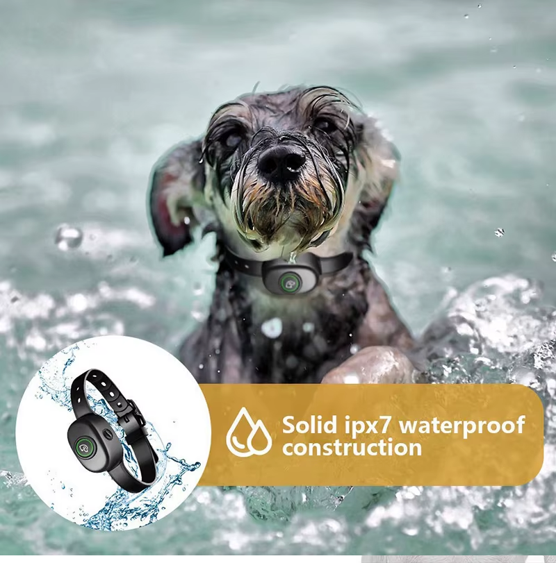 Нашийник електронний дресирувальний від гавкоту бобак PEDONO DOG-300 bark Orange (048) - фото 7