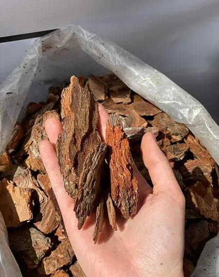 Кора середня 50 л (45387) - фото 2 Кора середня 50 л (45387) - фото 2