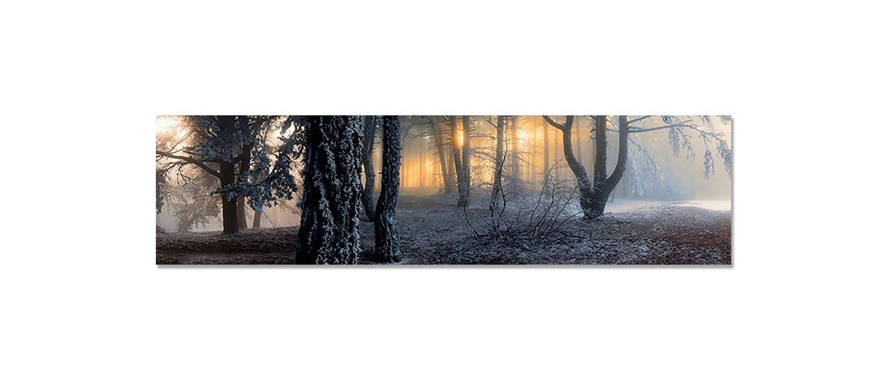 Фартук кухонный Туманный лес деревья из самоклеющейся виниловой пленки 65х250 см Серый