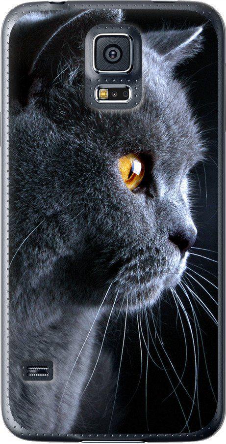 Чехол на Samsung Galaxy S5 Duos SM G900FD Красивый кот (3038t-62-42517)