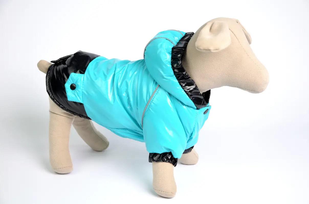 Курточка Zoobaza 305716 37х54 см Бірюзовий