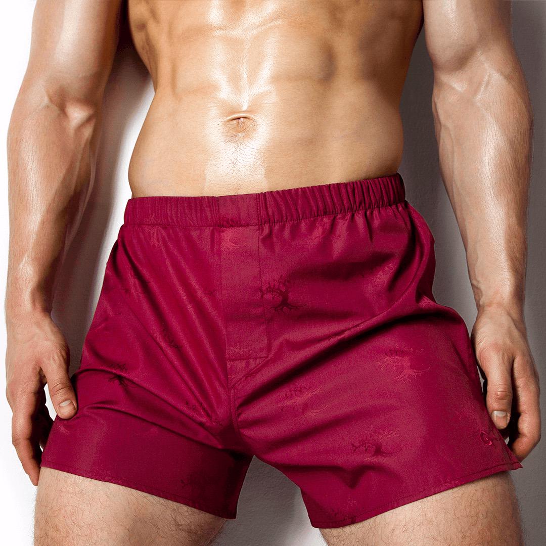 Трусы боксеры Giza 45 Sangria Tree 4XL Красный (30252556) - фото 2 Трусы боксеры Giza 45 Sangria Tree 4XL Красный (30252556) - фото 2