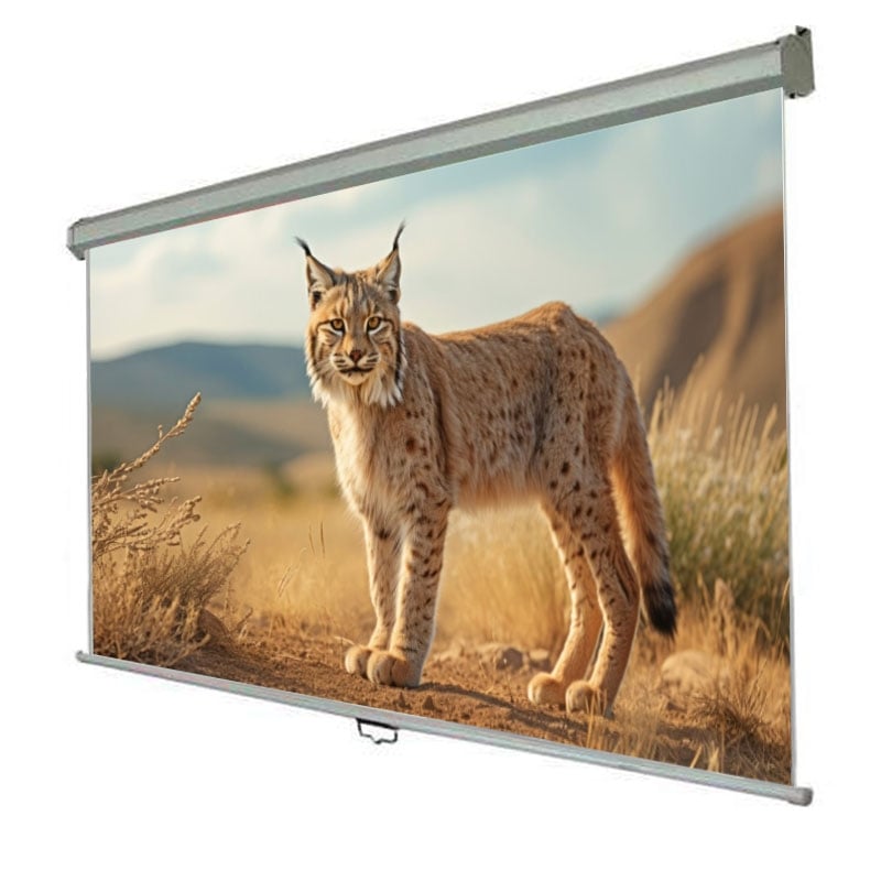 Экран проекционный Walfix SNM-6 настенный потолочный 84" 186x105 см 16:9 (tf540) - фото 7