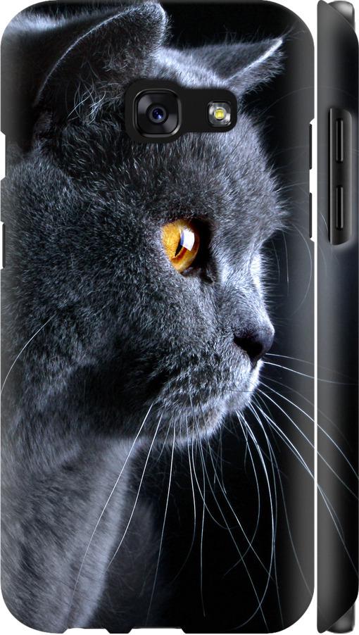 Чехол на Samsung Galaxy A3 (2017) Красивый кот (3038c-443-42517)