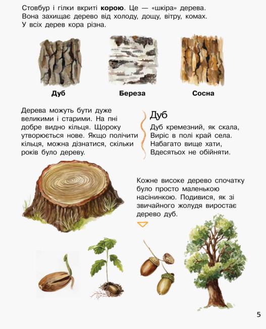 Набір дитячих книг Ranok Creative "Енциклопедія дошкільника: Ліс/Природа" (113010) - фото 13