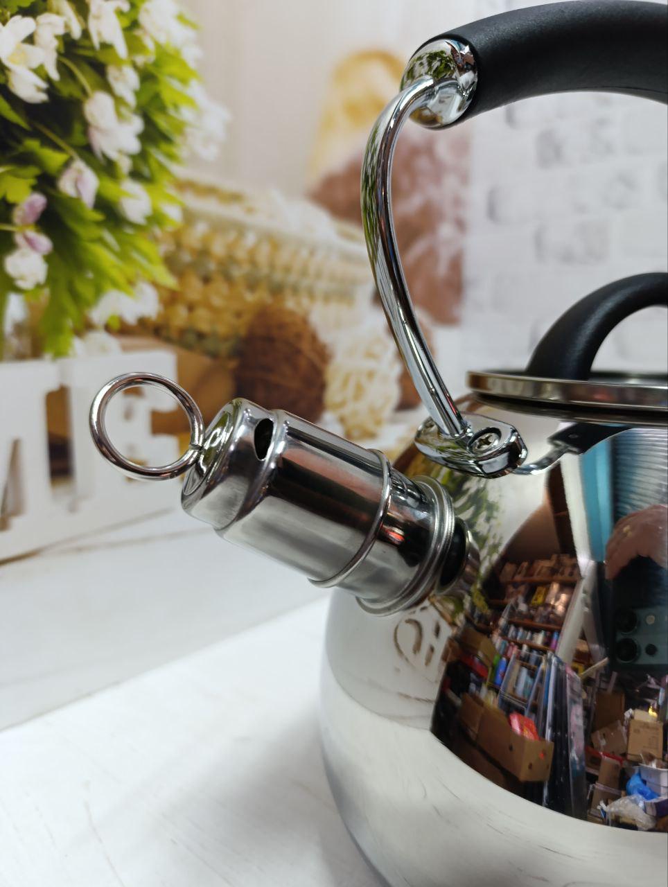 Чайник Ofenbach NB-100310 со свистком 2,5 л Стальной - фото 2