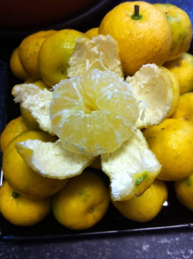Цитрус Лиметта Пурша Citrus limetta Pursha - фото 3 Цитрус Лиметта Пурша Citrus limetta Pursha - фото 3