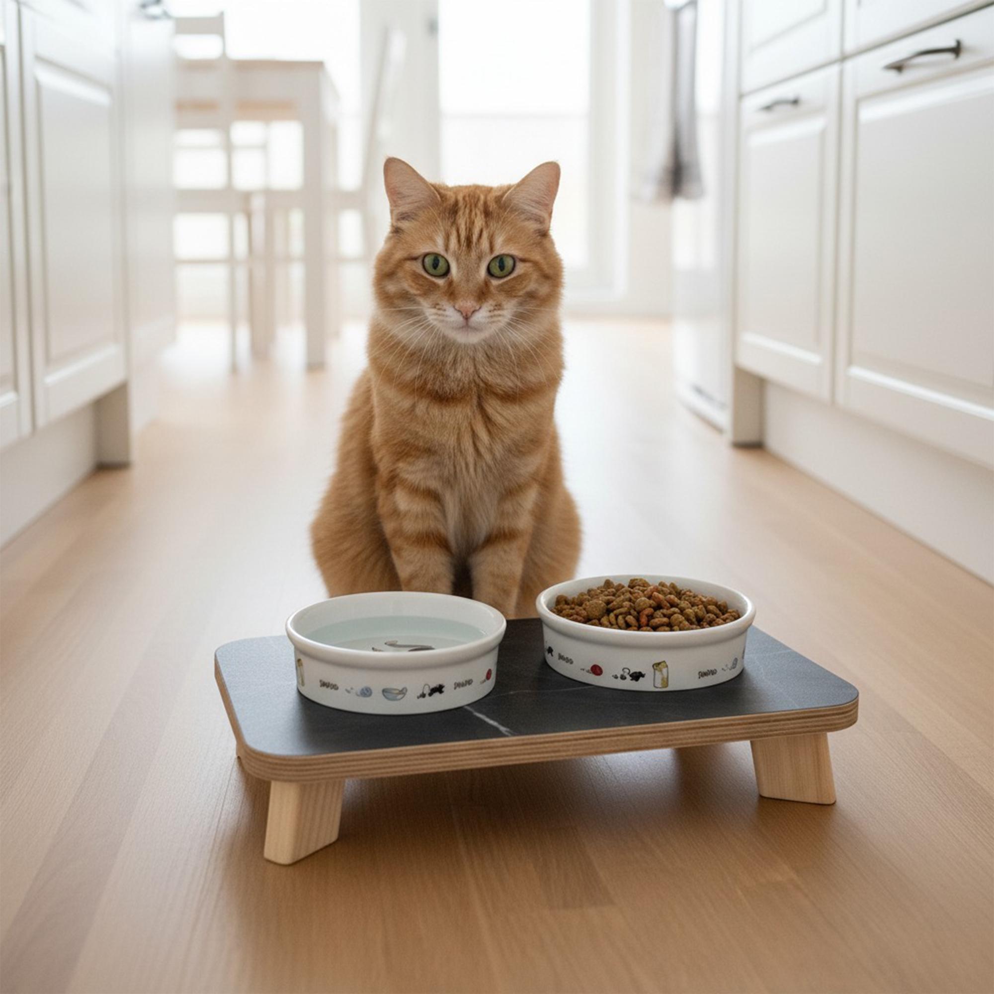 Подставка под мисочки Trixie для собак и кошек с мисками 2х200 мл - фото 5 Подставка под мисочки Trixie для собак и кошек с мисками 2х200 мл - фото 5