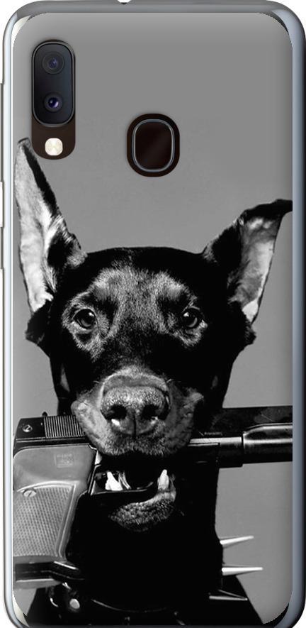 Чехол на Samsung Galaxy A20e A202F Доберман (2745u-1709-42517)
