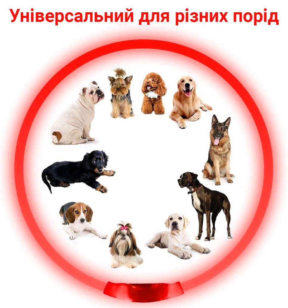 Нашийник iPets LC-01 з LED світінням L Червоний - фото 7 Нашийник iPets LC-01 з LED світінням L Червоний - фото 7