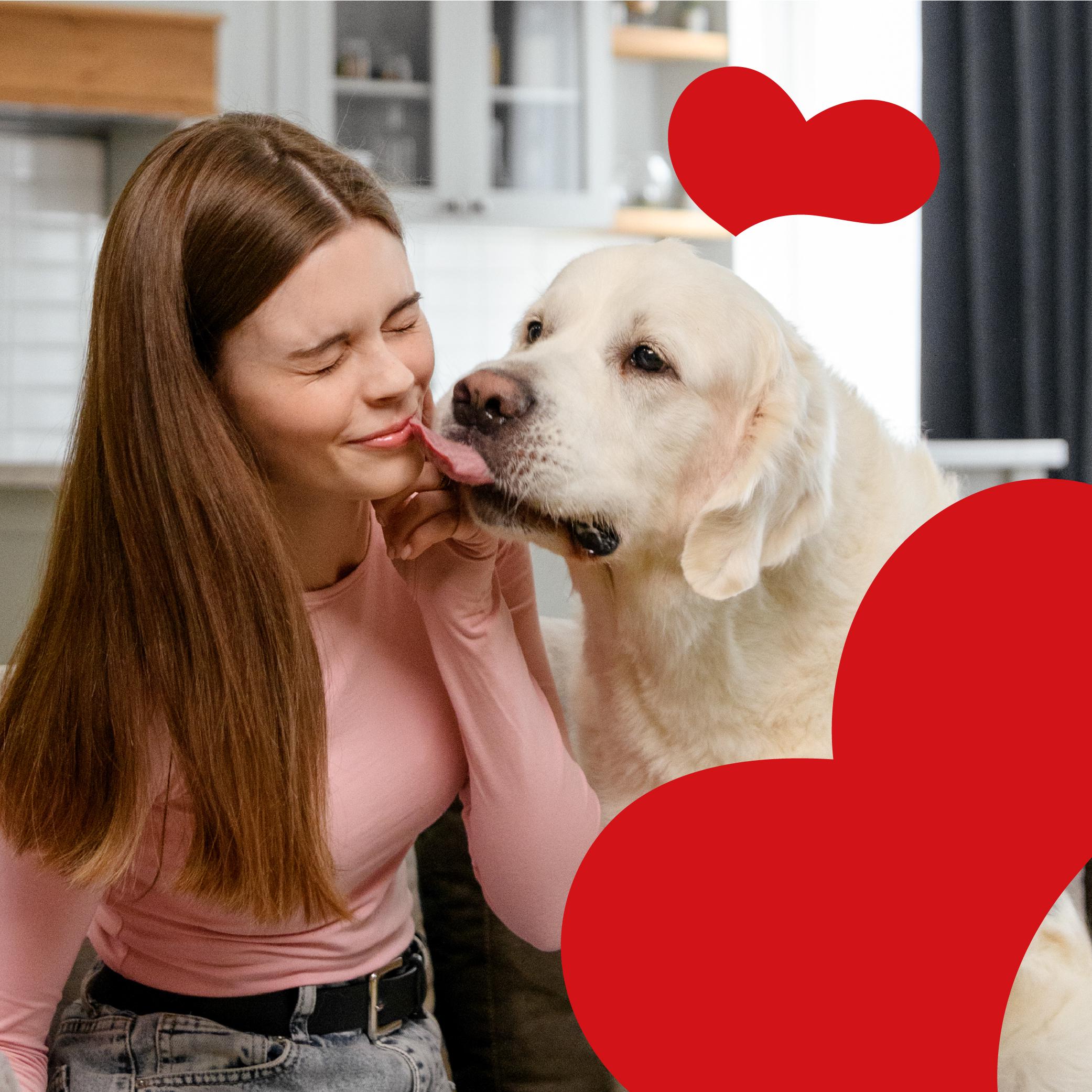 Лакомство для собак Mavsy Freeze dried FILET MIGNON BEEF WITH SUNDRIED TOMATOES от 3-х месяцев 50 г (24624862) - фото 7 Лакомство для собак Mavsy Freeze dried FILET MIGNON BEEF WITH SUNDRIED TOMATOES от 3-х месяцев 50 г (24624862) - фото 7