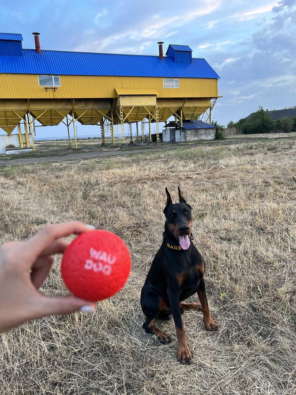 Іграшка для собак Waudog Fun Red Ball (6001) - фото 8 Іграшка для собак Waudog Fun Red Ball (6001) - фото 8