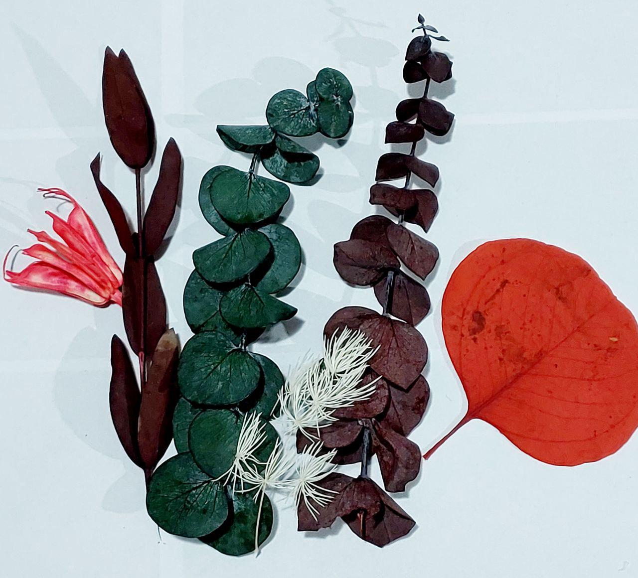 Сухоцвет набор № 8 для творчества для декора/свечей/сила/косметики/эпоксидной смолы (С-039)