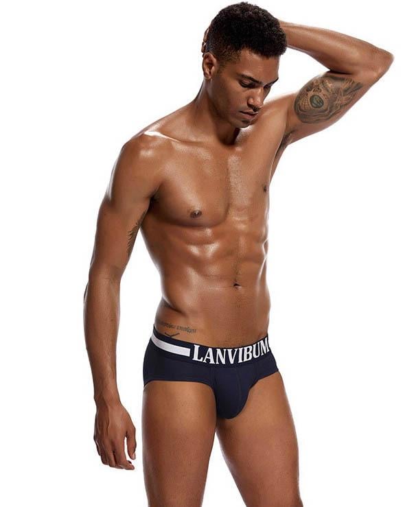 Трусы Lanvibum M Темно-синий (4503)